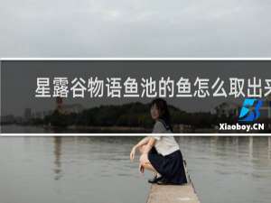 星露谷物语鱼池的鱼怎么取出来