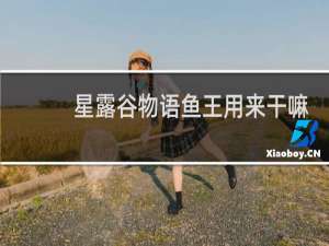 星露谷物语鱼王用来干嘛