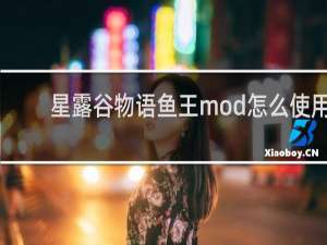 星露谷物语鱼王mod怎么使用
