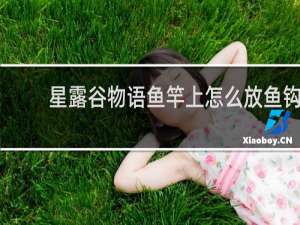 星露谷物语鱼竿上怎么放鱼钩