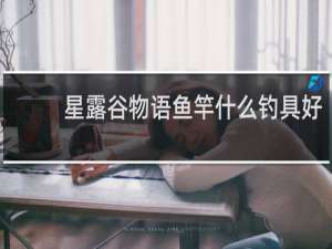 星露谷物语鱼竿什么钓具好