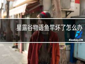 星露谷物语鱼竿坏了怎么办