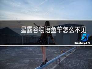 星露谷物语鱼竿怎么不见