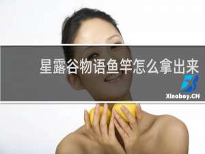 星露谷物语鱼竿怎么拿出来