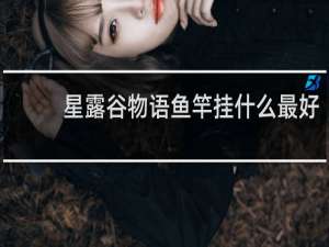星露谷物语鱼竿挂什么最好