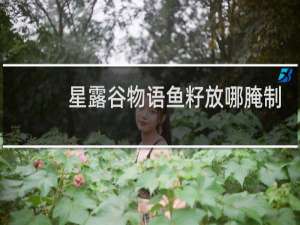 星露谷物语鱼籽放哪腌制