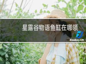 星露谷物语鱼缸在哪领