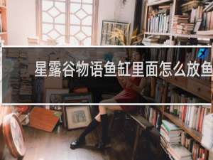 星露谷物语鱼缸里面怎么放鱼