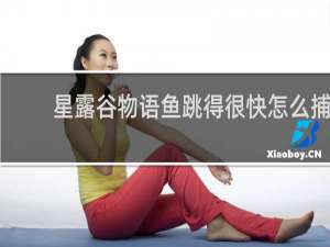 星露谷物语鱼跳得很快怎么捕