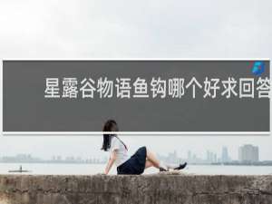 星露谷物语鱼钩哪个好求回答