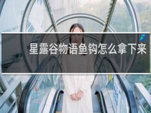 星露谷物语鱼钩怎么拿下来