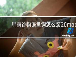 星露谷物语鱼钩怎么装 mac