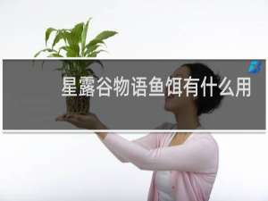 星露谷物语鱼饵有什么用