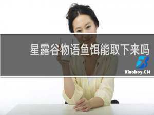 星露谷物语鱼饵能取下来吗