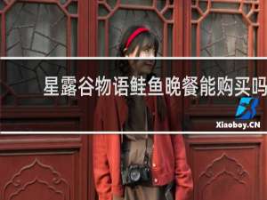 星露谷物语鲑鱼晚餐能购买吗