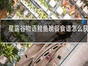 星露谷物语鲑鱼晚餐食谱怎么获得