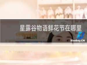 星露谷物语鲜花节在哪里