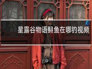 星露谷物语鲟鱼在哪钓视频