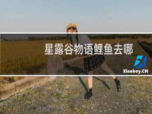 星露谷物语鲤鱼去哪