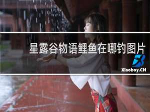 星露谷物语鲤鱼在哪钓图片