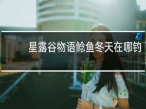 星露谷物语鲶鱼冬天在哪钓