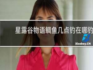 星露谷物语鲷鱼几点钓在哪钓