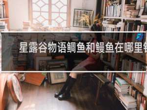 星露谷物语鲷鱼和鳗鱼在哪里钓