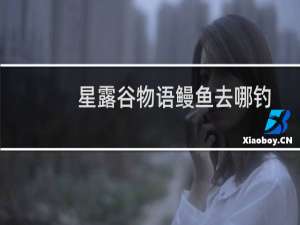 星露谷物语鳗鱼去哪钓