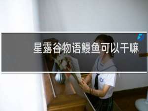 星露谷物语鳗鱼可以干嘛