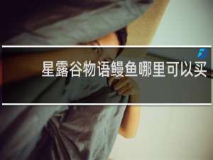 星露谷物语鳗鱼哪里可以买