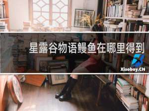 星露谷物语鳗鱼在哪里得到