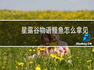 星露谷物语鳗鱼怎么拿见
