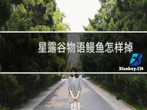 星露谷物语鳗鱼怎样掉
