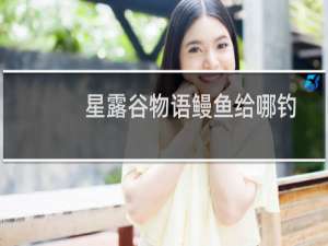 星露谷物语鳗鱼给哪钓