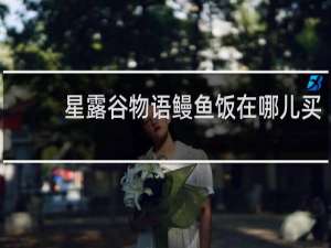 星露谷物语鳗鱼饭在哪儿买