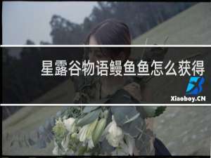 星露谷物语鳗鱼鱼怎么获得