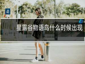 星露谷物语鸟什么时候出现