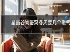 星露谷物语鸡冬天要几个暖气