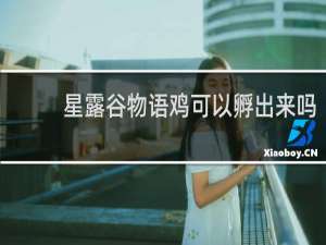 星露谷物语鸡可以孵出来吗