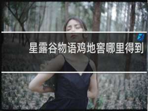 星露谷物语鸡地窖哪里得到