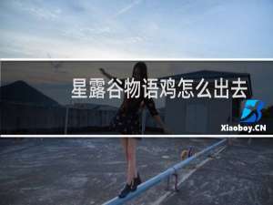 星露谷物语鸡怎么出去