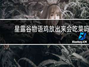 星露谷物语鸡放出来会吃菜吗