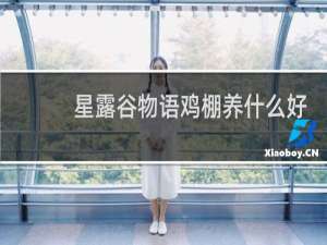 星露谷物语鸡棚养什么好