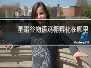 星露谷物语鸡棚孵化在哪里