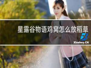 星露谷物语鸡窝怎么放稻草