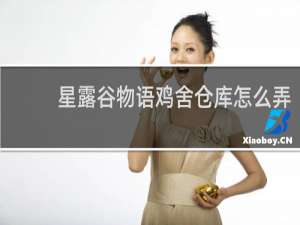 星露谷物语鸡舍仓库怎么弄