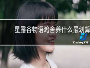 星露谷物语鸡舍养什么最划算