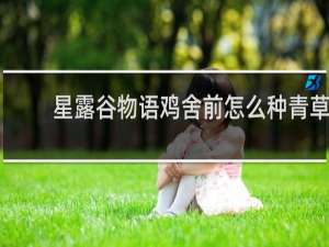 星露谷物语鸡舍前怎么种青草