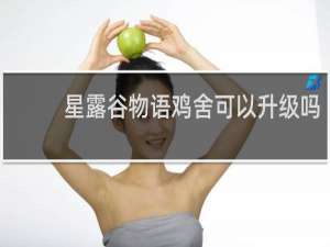 星露谷物语鸡舍可以升级吗