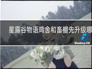 星露谷物语鸡舍和畜棚先升级哪个